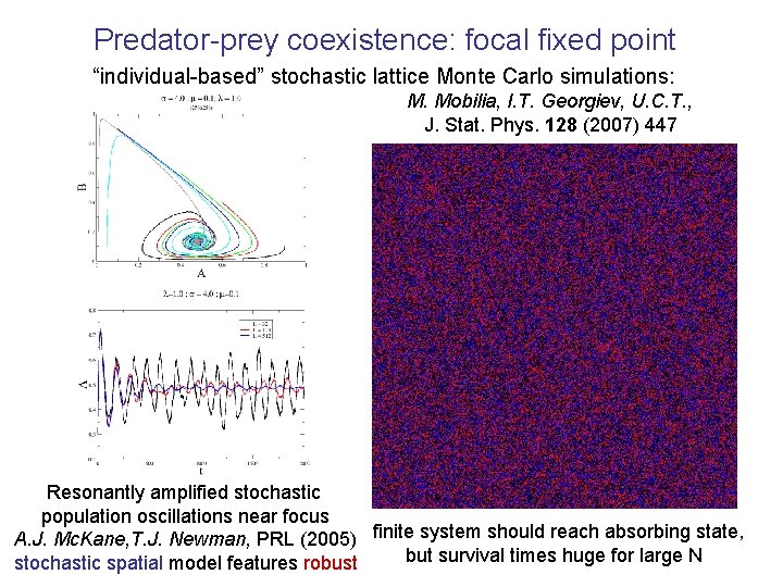 Predator-prey coexistence: focal fixed point “individual-based” stochastic lattice Monte Carlo simulations: M. Mobilia, I.