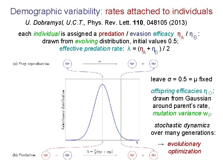 Demographic variability: rates attached to individuals U. Dobramysl, U. C. T. , Phys. Rev.