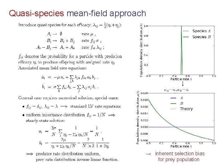 Quasi-species mean-field approach ↓ → inherent selection bias for prey population 