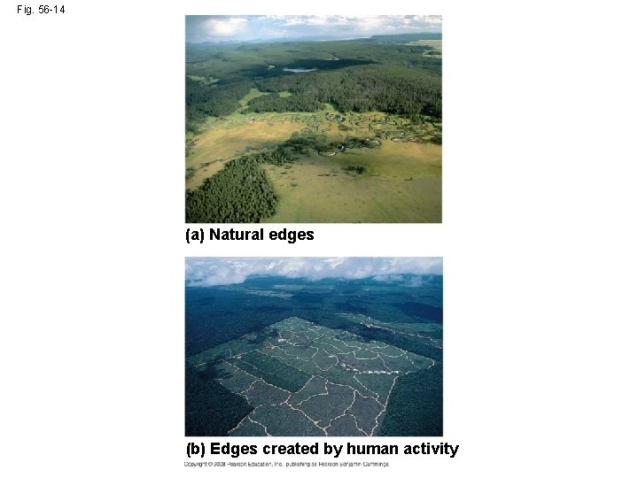 Fig. 56 -14 (a) Natural edges (b) Edges created by human activity 
