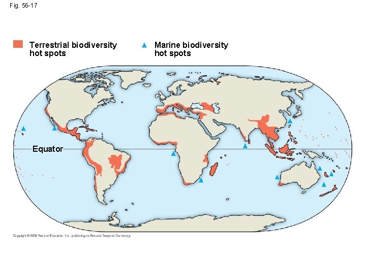 Fig. 56 -17 Terrestrial biodiversity hot spots Equator Marine biodiversity hot spots 