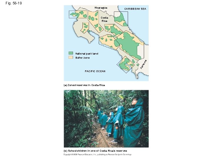 Fig. 56 -19 Nicaragua CARIBBEAN SEA Costa Rica National park land Pa na ma