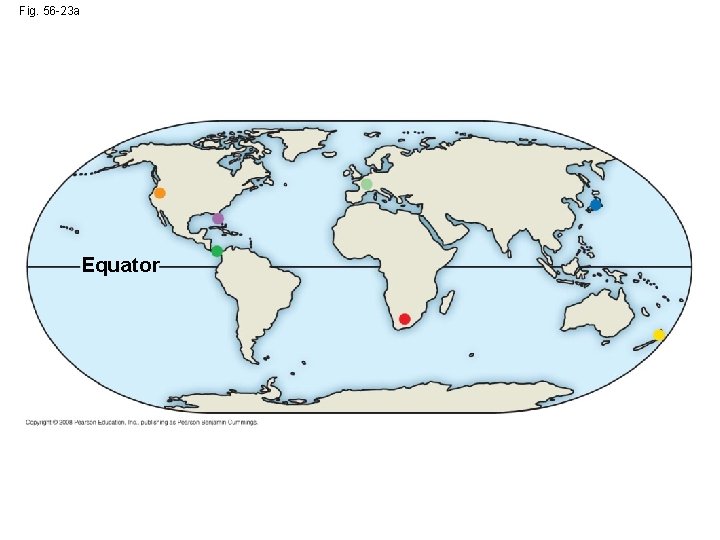 Fig. 56 -23 a Equator 