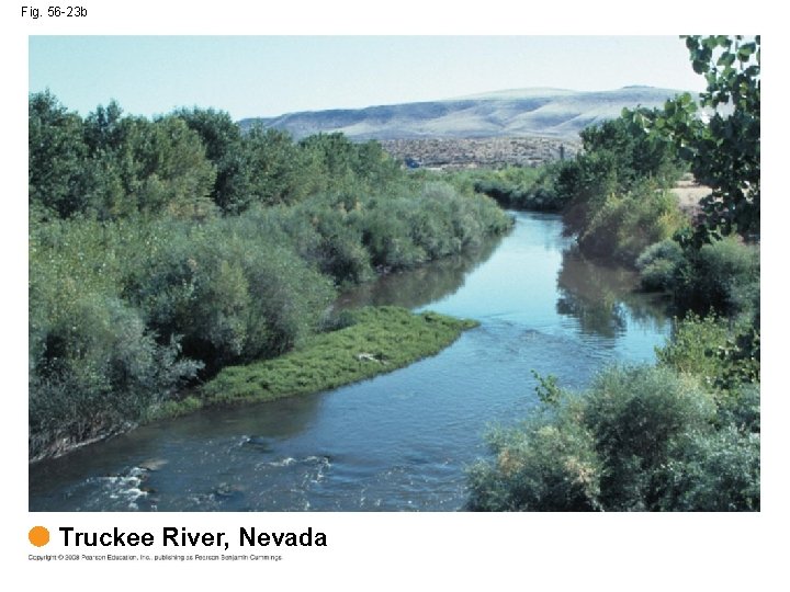 Fig. 56 -23 b Truckee River, Nevada 