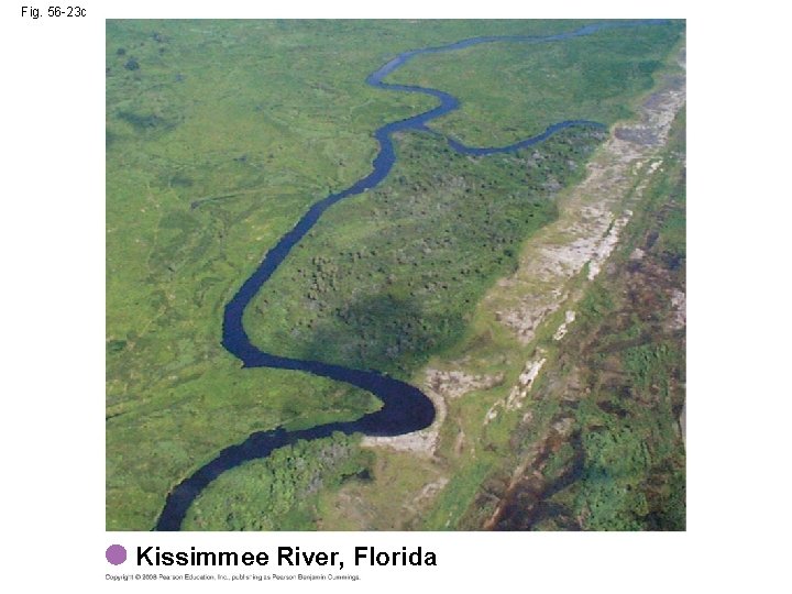 Fig. 56 -23 c Kissimmee River, Florida 
