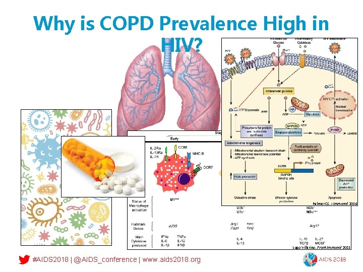 Why is COPD Prevalence High in HIV? Palmer CS. J Immunol 2016 Lugo-Villarino. Front