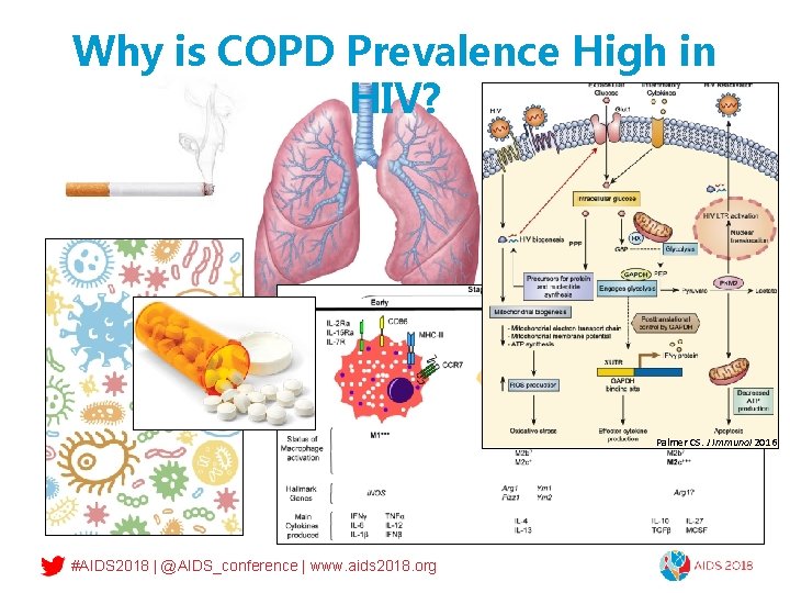 Why is COPD Prevalence High in HIV? Palmer CS. J Immunol 2016 #AIDS 2018