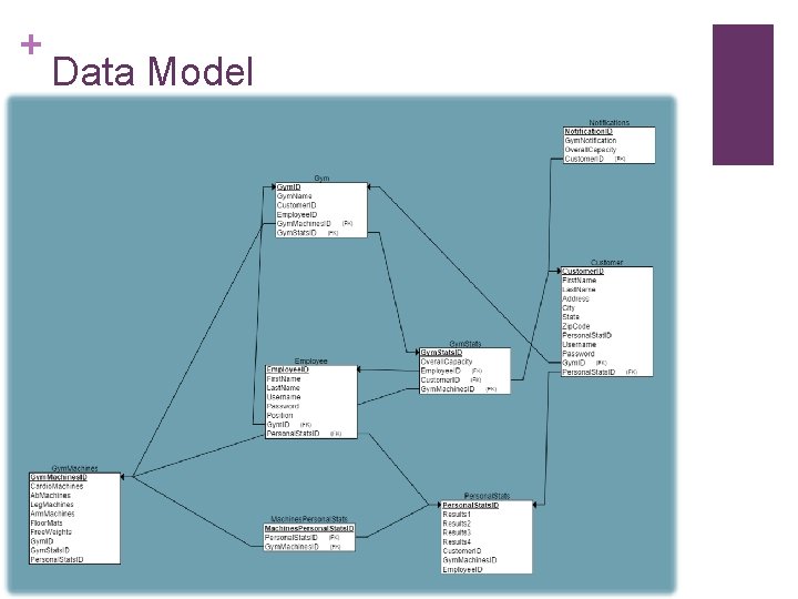 + Data Model 