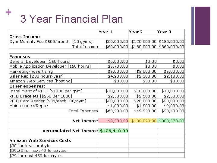 + 3 Year Financial Plan Year 1 Gross Income Gym Monthly Fee $500/month [10