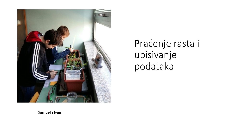 Praćenje rasta i upisivanje podataka Samuel i Ivan 