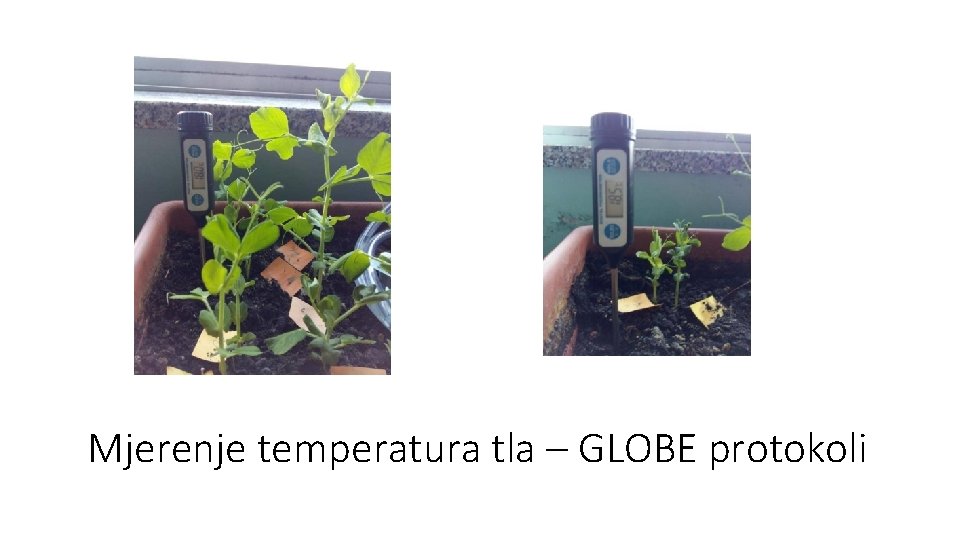 Mjerenje temperatura tla – GLOBE protokoli 