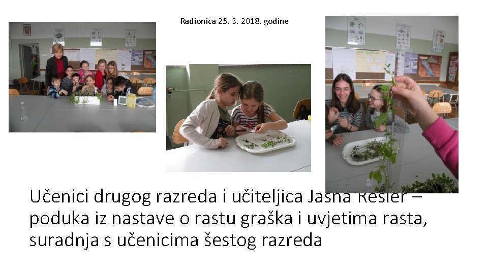 Radionica 25. 3. 2018. godine Učenici drugog razreda i učiteljica Jasna Resler – poduka