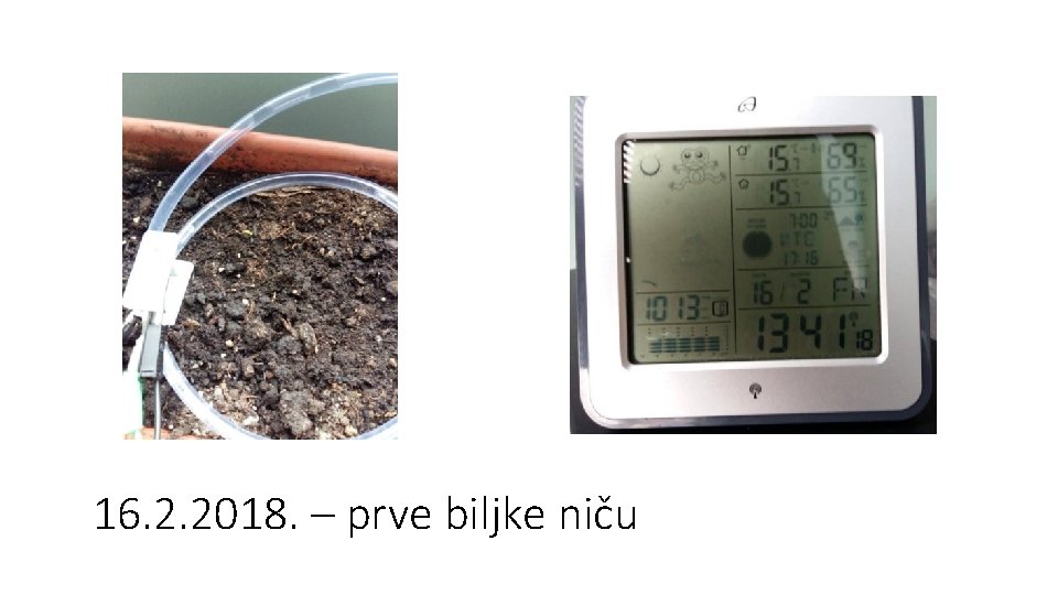 16. 2. 2018. – prve biljke niču 