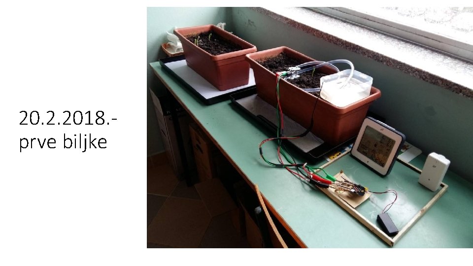 20. 2. 2018. prve biljke 