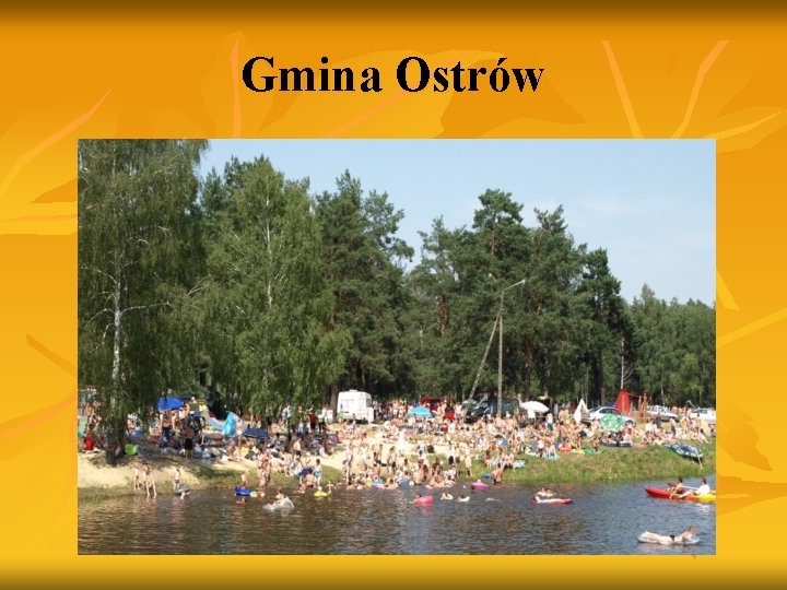 Gmina Ostrów 