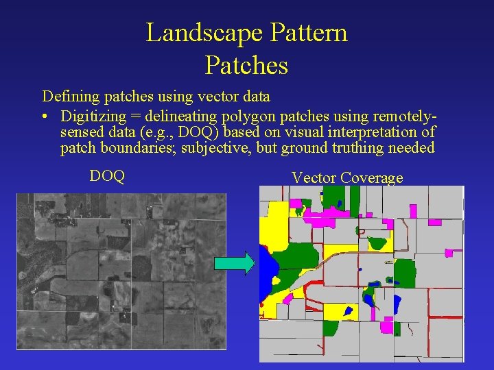 Landscape Pattern Patches Defining patches using vector data • Digitizing = delineating polygon patches