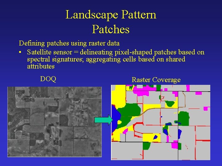 Landscape Pattern Patches Defining patches using raster data • Satellite sensor = delineating pixel-shaped