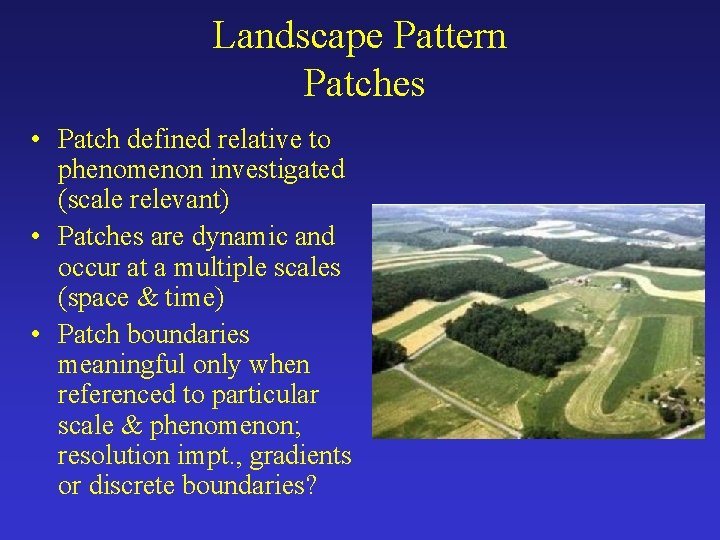 Landscape Pattern Patches • Patch defined relative to phenomenon investigated (scale relevant) • Patches