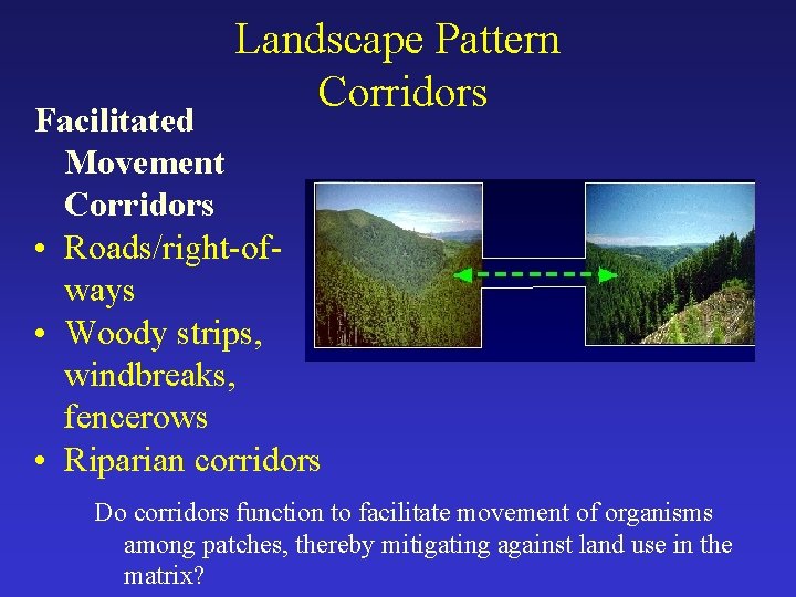 Landscape Pattern Corridors Facilitated Movement Corridors • Roads/right-ofways • Woody strips, windbreaks, fencerows •