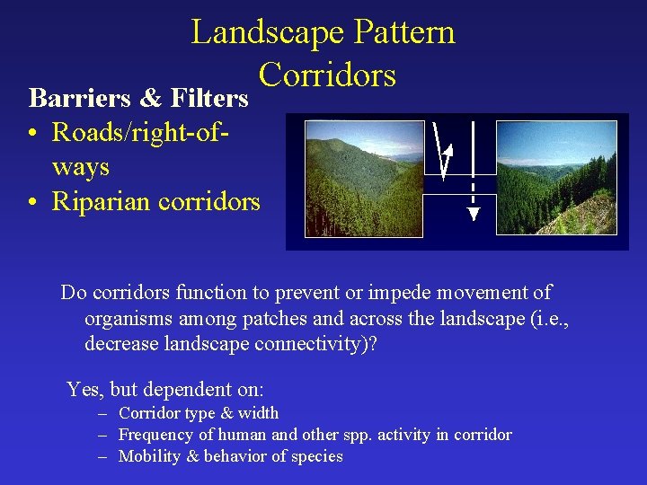 Landscape Pattern Corridors Barriers & Filters • Roads/right-ofways • Riparian corridors Do corridors function