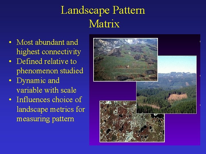 Landscape Pattern Matrix • Most abundant and highest connectivity • Defined relative to phenomenon