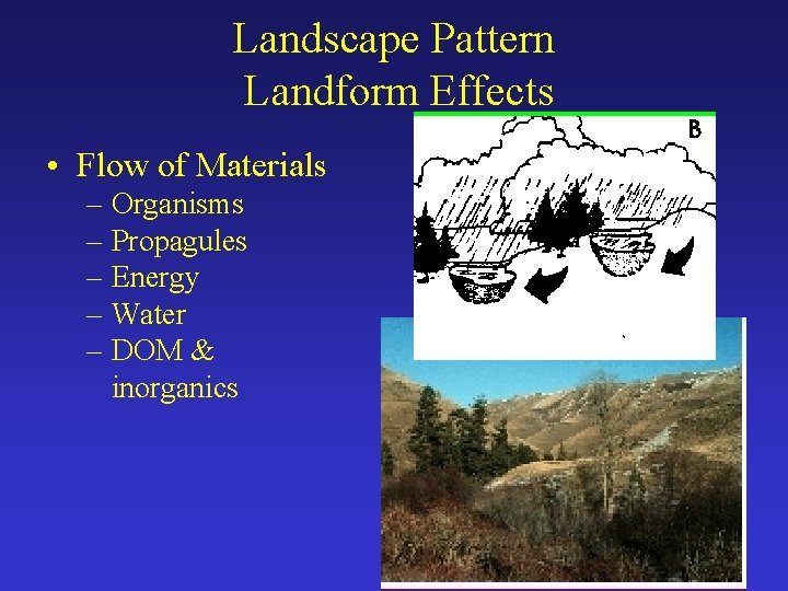 Landscape Pattern Landform Effects • Flow of Materials – Organisms – Propagules – Energy