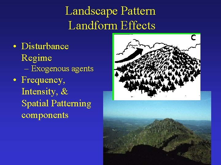 Landscape Pattern Landform Effects • Disturbance Regime – Exogenous agents • Frequency, Intensity, &
