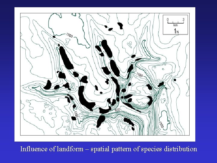 Influence of landform – spatial pattern of species distribution 