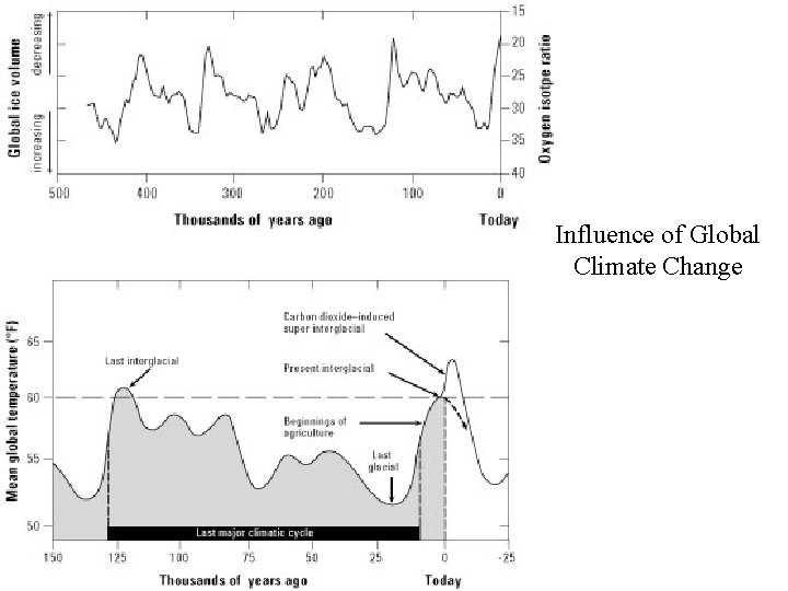 Influence of Global Climate Change 