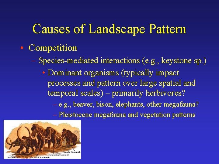 Causes of Landscape Pattern • Competition – Species-mediated interactions (e. g. , keystone sp.