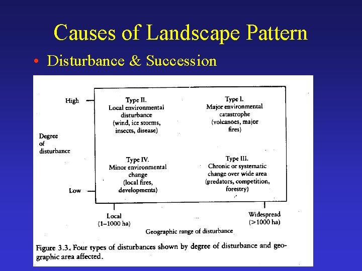 Causes of Landscape Pattern • Disturbance & Succession 