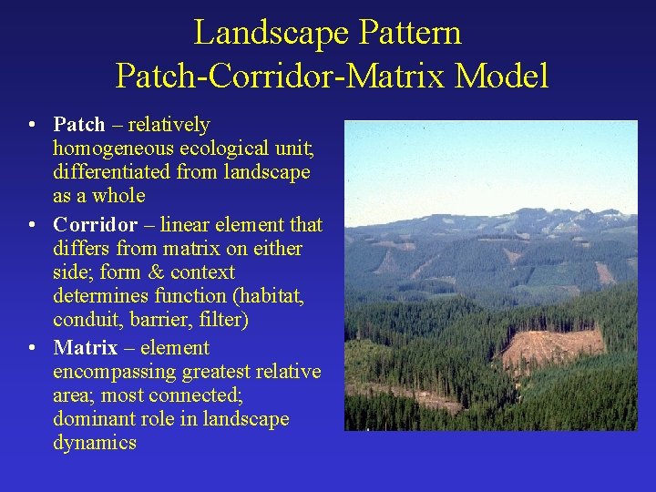 Landscape Pattern Patch-Corridor-Matrix Model • Patch – relatively homogeneous ecological unit; differentiated from landscape