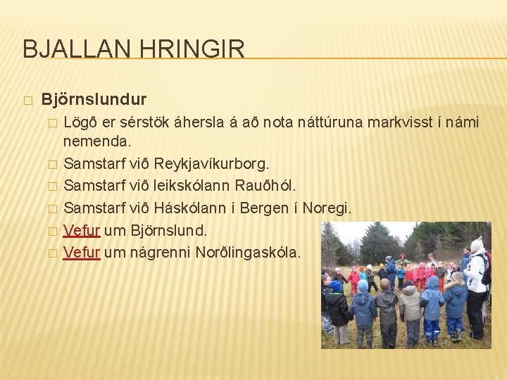 BJALLAN HRINGIR � Björnslundur � � � Lögð er sérstök áhersla á að nota