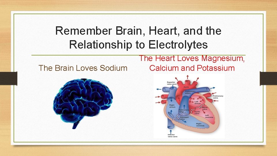 Remember Brain, Heart, and the Relationship to Electrolytes The Brain Loves Sodium The Heart