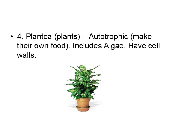  • 4. Plantea (plants) – Autotrophic (make their own food). Includes Algae. Have