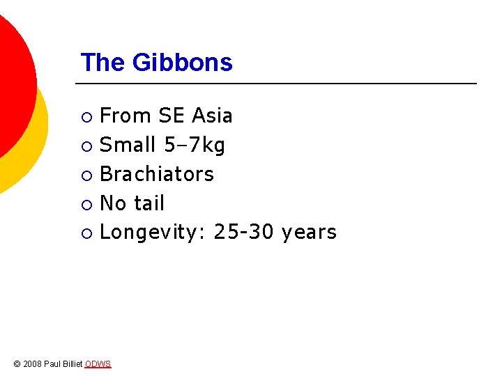 The Gibbons From SE Asia ¡ Small 5– 7 kg ¡ Brachiators ¡ No