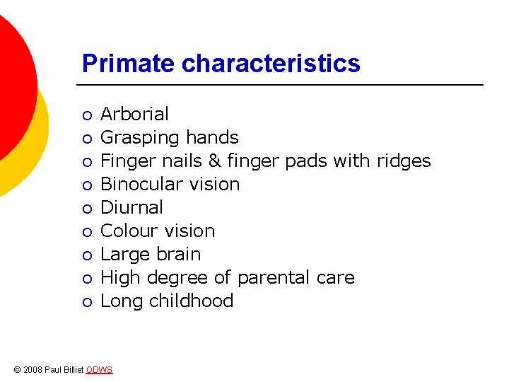 Primate characteristics ¡ ¡ ¡ ¡ ¡ Arborial Grasping hands Finger nails & finger