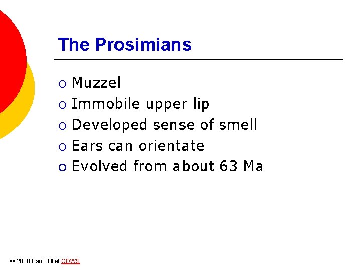 The Prosimians Muzzel ¡ Immobile upper lip ¡ Developed sense of smell ¡ Ears
