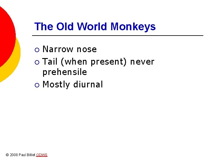 The Old World Monkeys Narrow nose ¡ Tail (when present) never prehensile ¡ Mostly