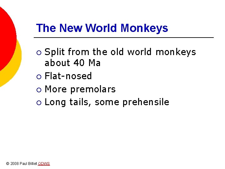 The New World Monkeys Split from the old world monkeys about 40 Ma ¡