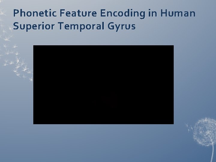 Phonetic Feature Encoding in Human Superior Temporal Gyrus Phonetic Feature Encoding in Human Superior Temporal Gyrus