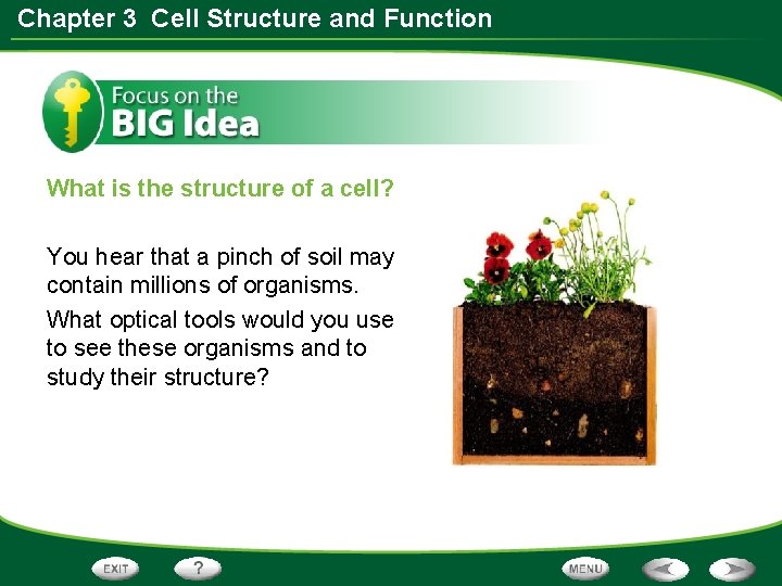 Chapter 3 Cell Structure and Function Table of
