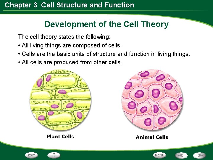 Chapter 3 Cell Structure and Function Table of