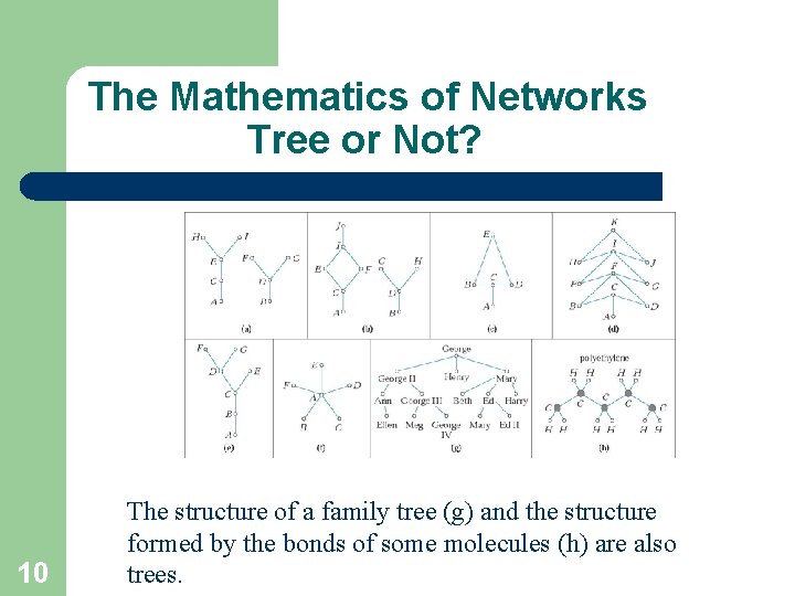 The Mathematics of Networks Tree or Not? 10 The structure of a family tree