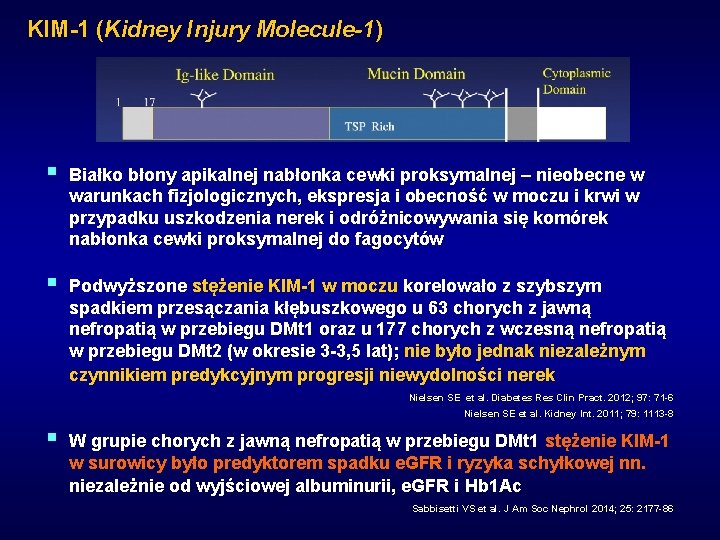 KIM-1 (Kidney Injury Molecule-1) § Białko błony apikalnej nabłonka cewki proksymalnej – nieobecne w