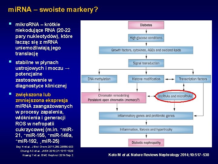 mi. RNA – swoiste markery? § mikro. RNA – krótkie niekodujące RNA (20 -22