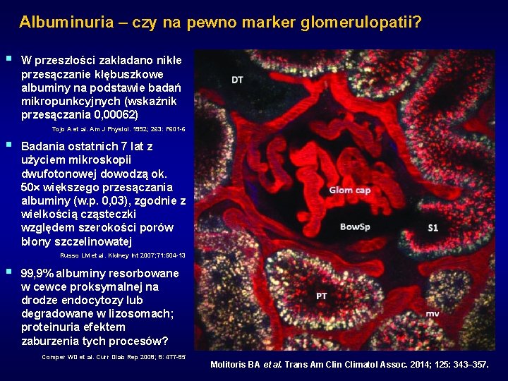 Albuminuria – czy na pewno marker glomerulopatii? § W przeszłości zakładano nikłe przesączanie kłębuszkowe