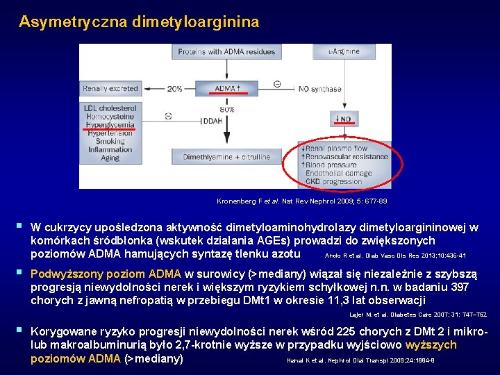 Asymetryczna dimetyloarginina Kronenberg F et al. Nat Rev Nephrol 2009; 5: 677 -89 §