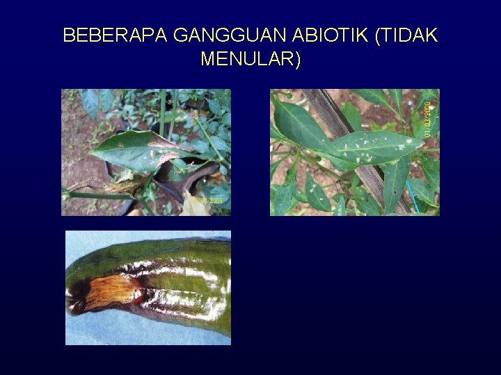 BEBERAPA GANGGUAN ABIOTIK (TIDAK MENULAR) 