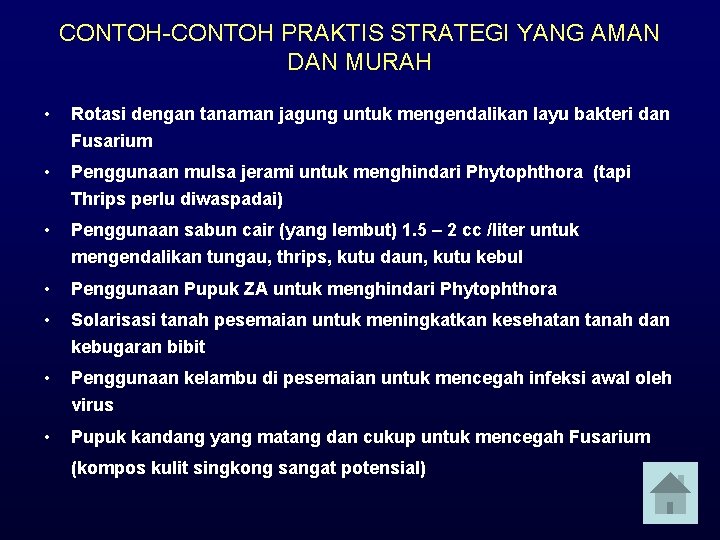 CONTOH-CONTOH PRAKTIS STRATEGI YANG AMAN DAN MURAH • Rotasi dengan tanaman jagung untuk mengendalikan